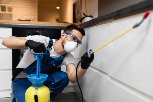 Best Mosquito Control Services  in Cicero, IL