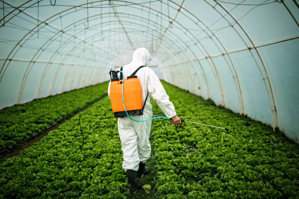Best Pest Removal Services  in Cicero, IL