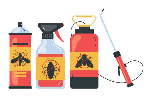 Best Affordable Pest Control Services  in Cicero, IL