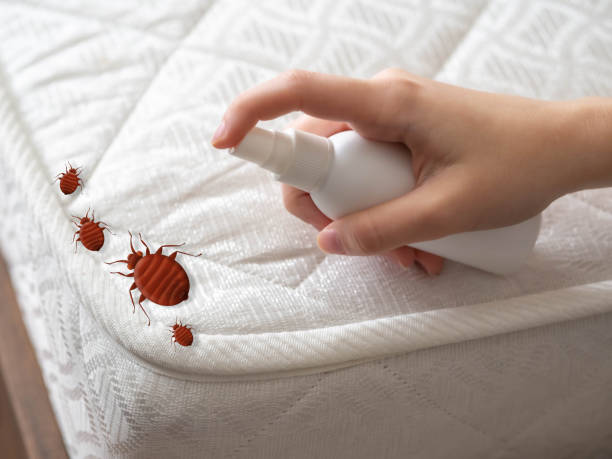 Professional Pest Control in Cicero, IL